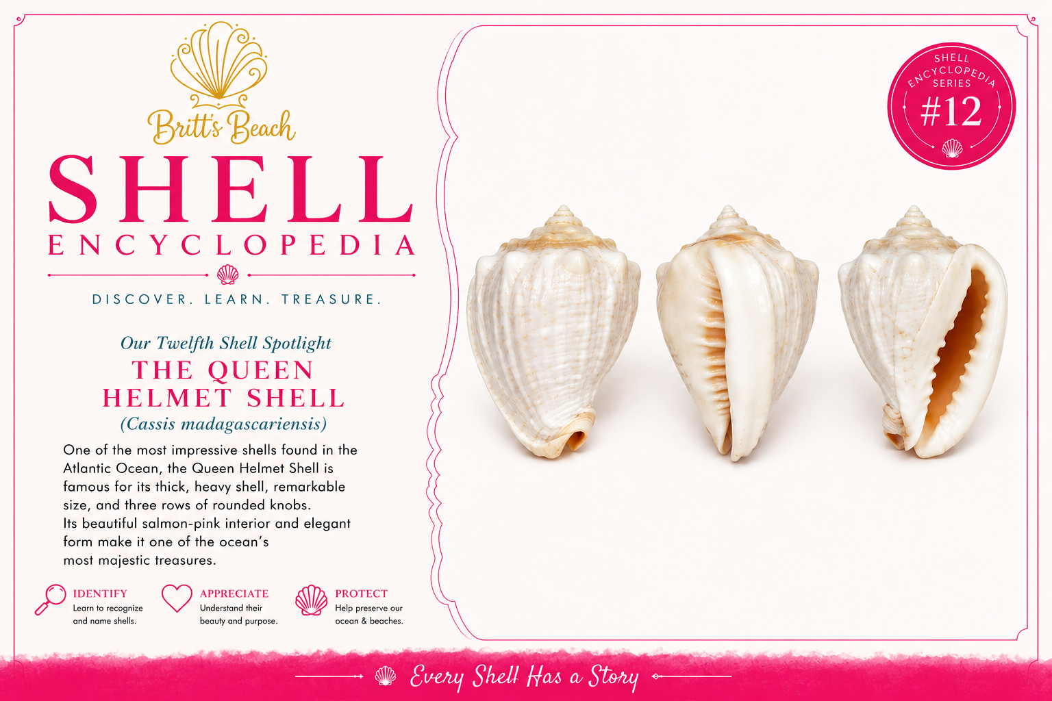Queen Helmet Shell