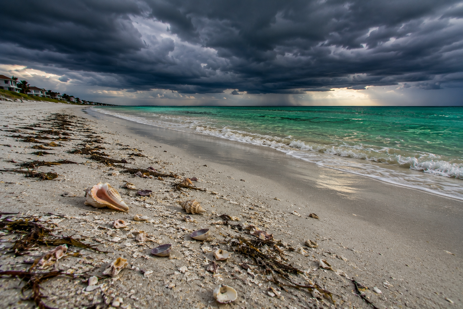 Storm Shelling Guide: The Best Time to Find Seashells on Florida Beaches | Britt's Beach