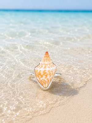 Mini Florida Conch Shell Ring
