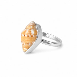 Mexican Seashell Ring
