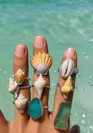 Hawaiian Sunrise Shell Ring