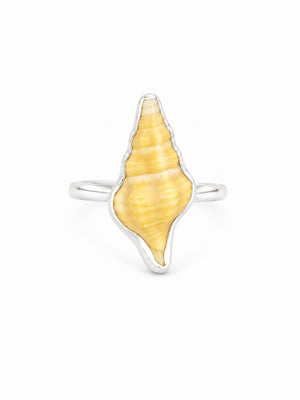 Yellow Mini Horse Conch Shell Ring