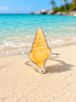 Yellow Mini Horse Conch Shell Ring